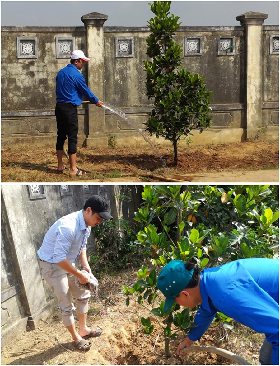Chi đoàn Trung tâm Tần số VTĐ KV III tổ chức chăm sóc cây xanh và làm đẹp khuôn viên Trạm kiểm soát tần số tại Điện Bàn, Quảng Nam
